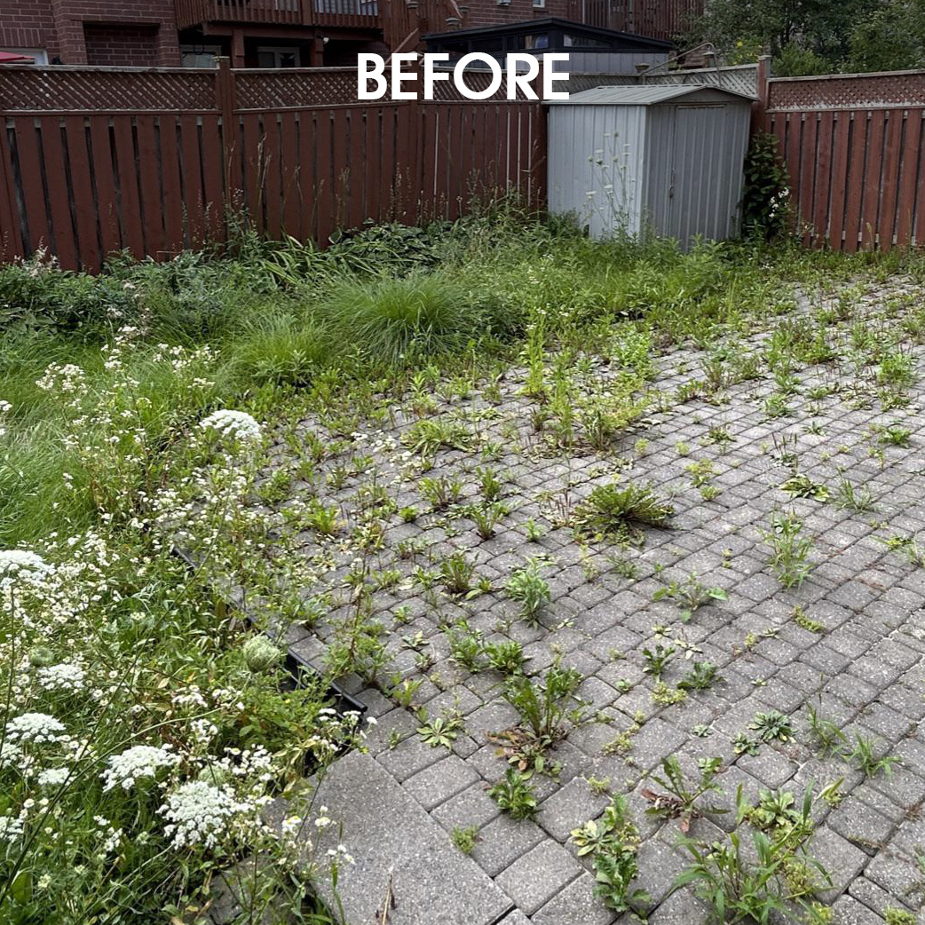 Cleaning Garden Equipment. Cleaning Garden Equipment.